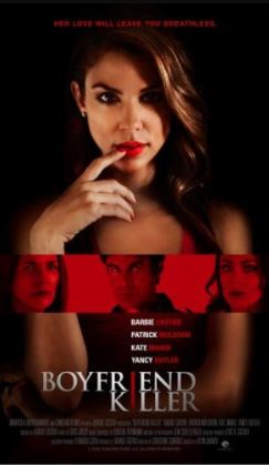 Boyfriend Killer 2017 480p HDTV x264 350MB English