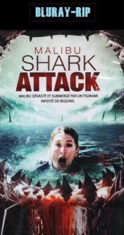 Malibu Shark Attack 2009 Dual Audio Hindi 480p & 720p BluRay 280mb | 900MB Free